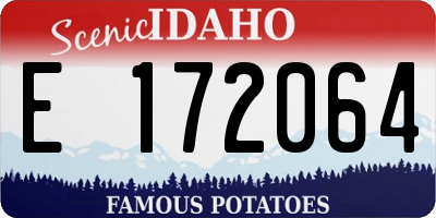 ID license plate E172064