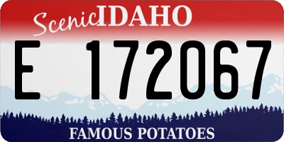 ID license plate E172067