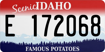 ID license plate E172068