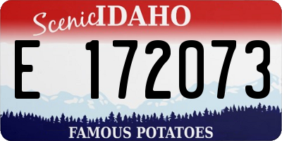 ID license plate E172073