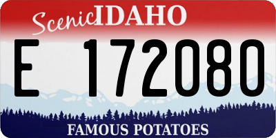 ID license plate E172080