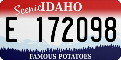 ID license plate E172098