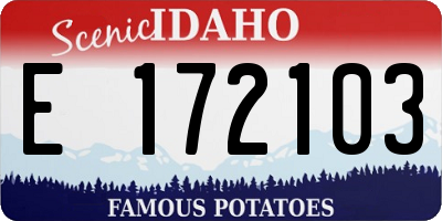 ID license plate E172103