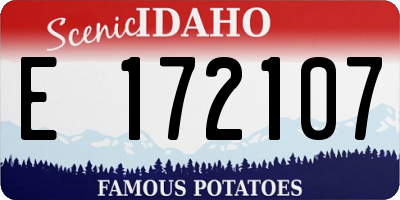 ID license plate E172107