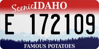 ID license plate E172109
