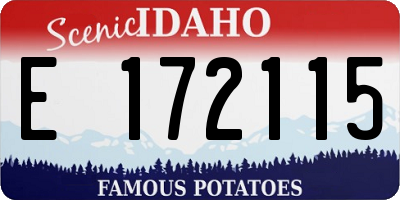 ID license plate E172115