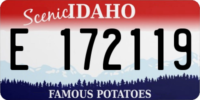 ID license plate E172119