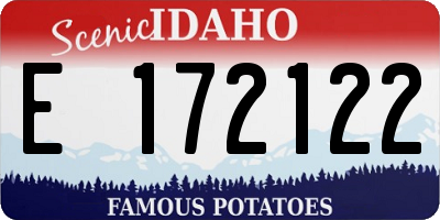 ID license plate E172122
