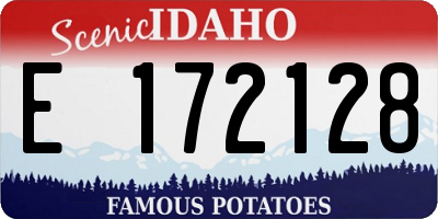 ID license plate E172128