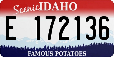 ID license plate E172136