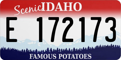 ID license plate E172173