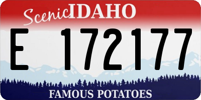 ID license plate E172177