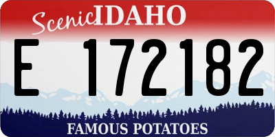 ID license plate E172182