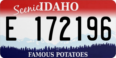 ID license plate E172196