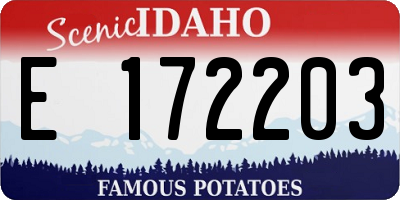 ID license plate E172203