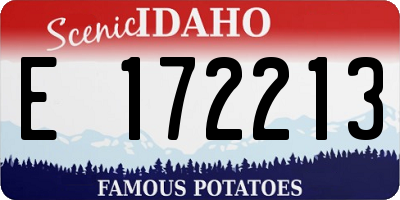 ID license plate E172213