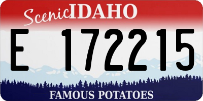 ID license plate E172215