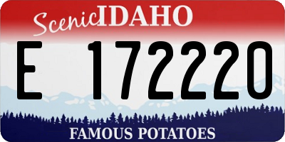 ID license plate E172220