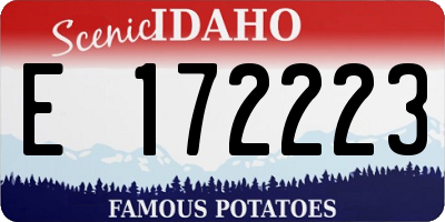 ID license plate E172223