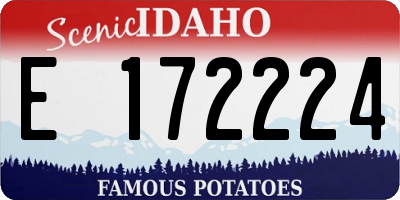 ID license plate E172224