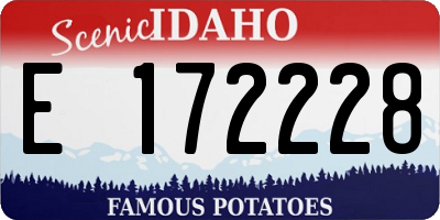 ID license plate E172228