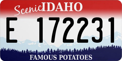 ID license plate E172231