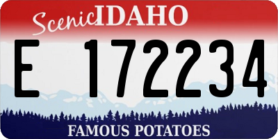 ID license plate E172234