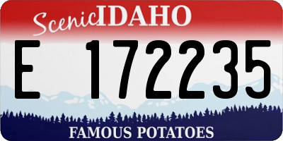 ID license plate E172235