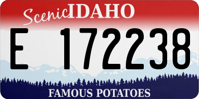 ID license plate E172238