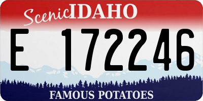 ID license plate E172246