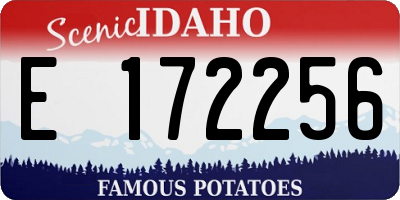 ID license plate E172256