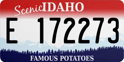 ID license plate E172273