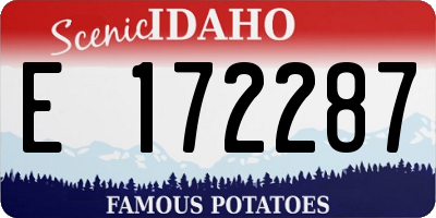 ID license plate E172287