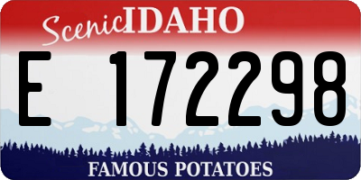 ID license plate E172298