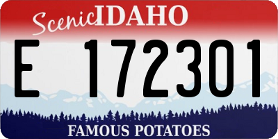 ID license plate E172301