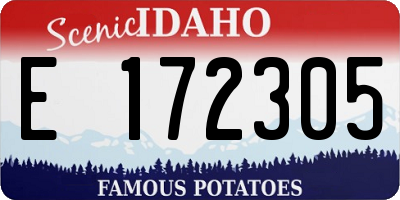 ID license plate E172305