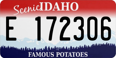ID license plate E172306