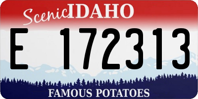 ID license plate E172313