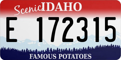 ID license plate E172315
