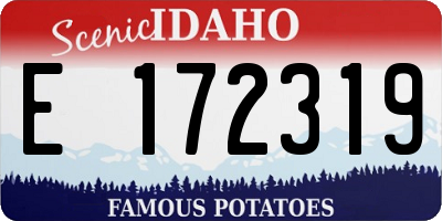 ID license plate E172319