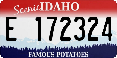 ID license plate E172324