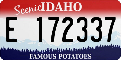 ID license plate E172337
