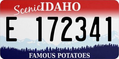 ID license plate E172341