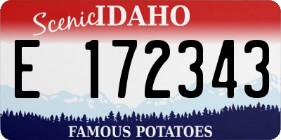 ID license plate E172343