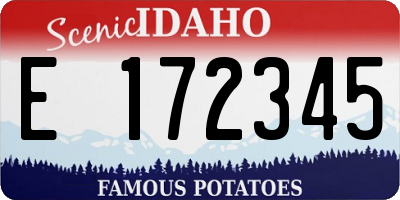 ID license plate E172345