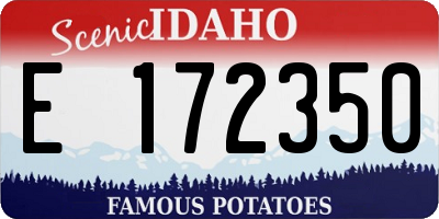 ID license plate E172350