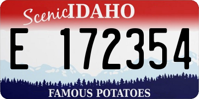 ID license plate E172354