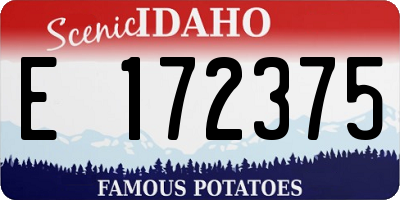 ID license plate E172375