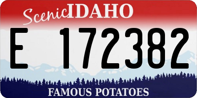 ID license plate E172382