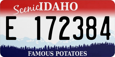 ID license plate E172384